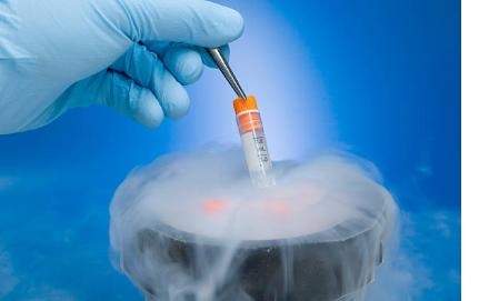 chuyển phôi đông lạnh tại IVF Đại học Y Hà Nội
