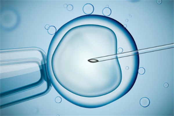 IVF