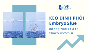 KEO DÍNH PHÔI EMBRYOGLUE